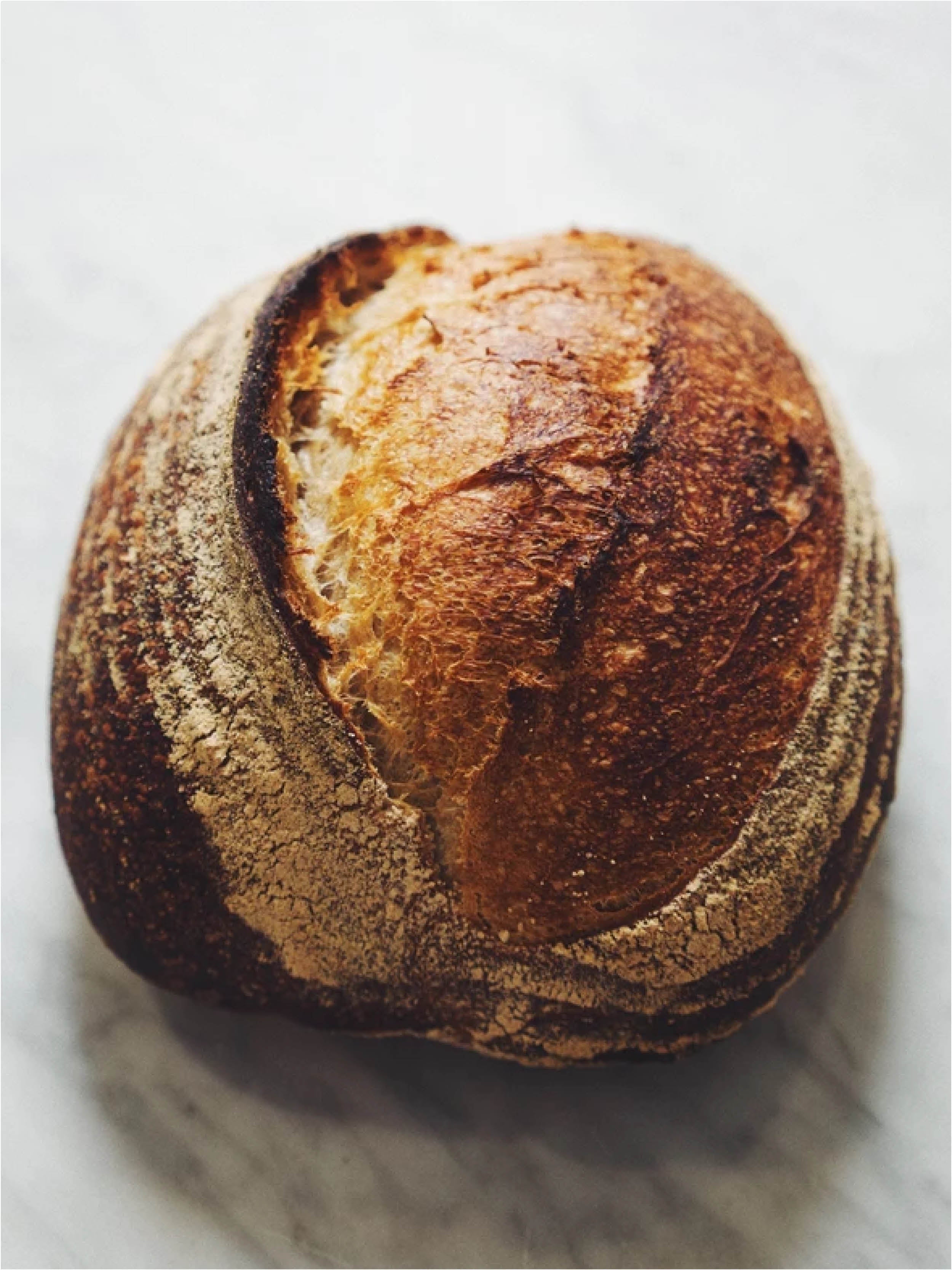 DECEMBER 17 | SOURDOUGH